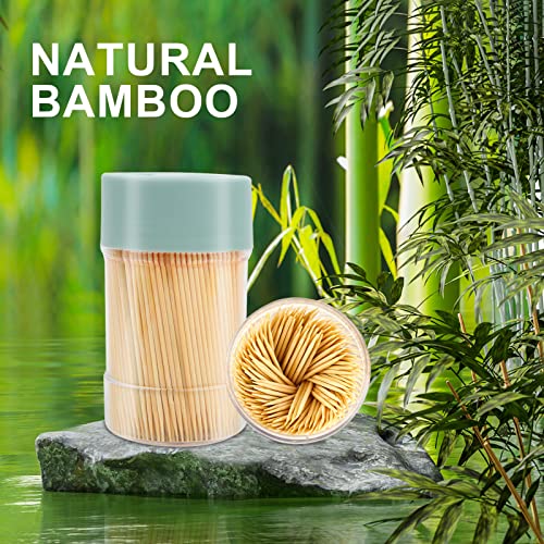 bamboo toothpicks 3000 count - with reusable toothpick holder sturdy smooth finish tooth picks for party appetizer olive barbecue fruit and teeth cleaning green