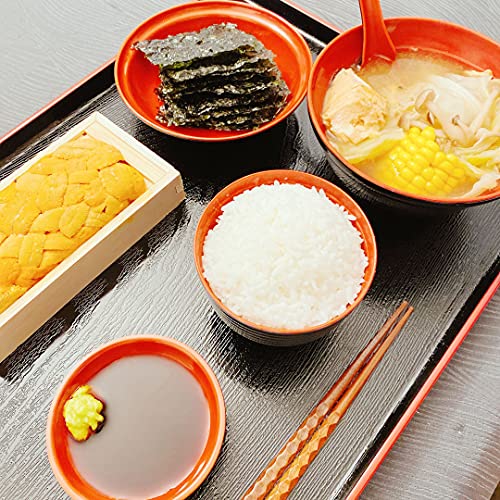 Japanbargain 4126, Large Japanese Serving Tay Plastic Lacquered Tray For Eating Tea Serving Tray Ottoman Coffee Table Tray Tv Tray Butler Tray, Black And Red Color, Made In Japan, 18X13-3/4 Inch #TOP6