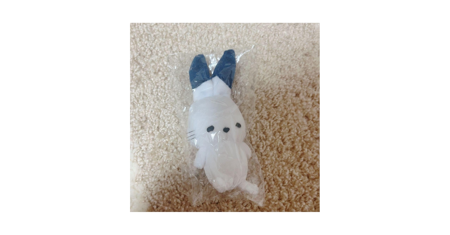 【新品未使用】　ドコムス　ドコうさ　ぬいぐるみ　ピルケース　セット 新品未使用】 ドコムス ドコうさ ぬいぐるみ ピルケース セット