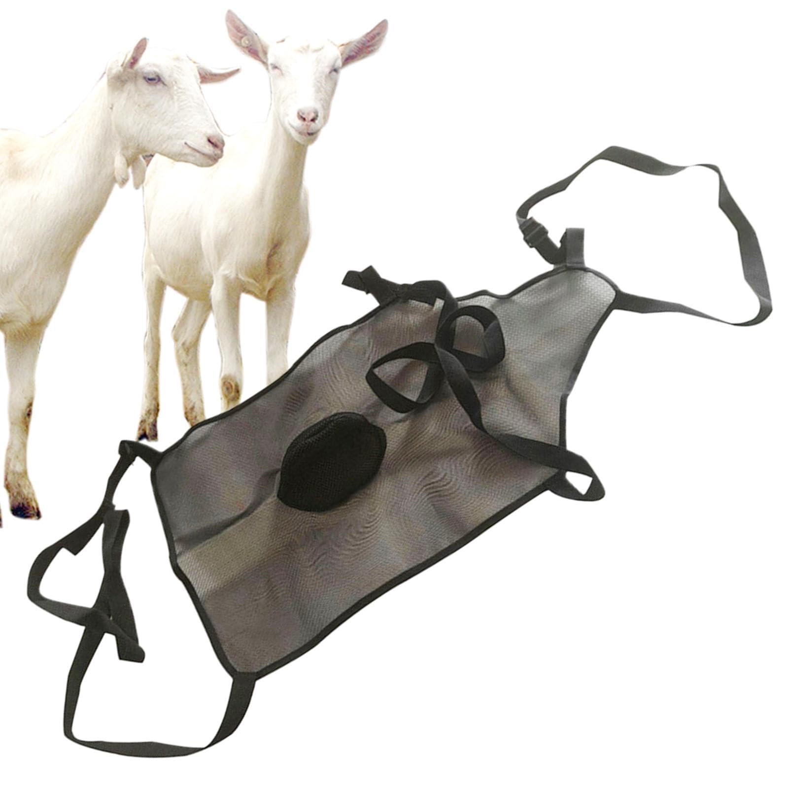 Gonna anti-accoppiamento per capre, grembiule anti-accoppiamento per capre | Grembiule regolabile anti-allevamento per capre - Gestione del gregge Gonna di controllo 'accoppiamento Abbigliamento per b