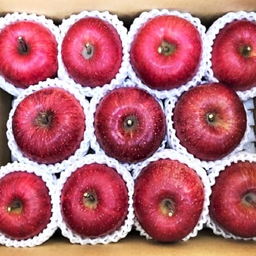 りんご 蜜入り サンふじ 秀 〜 特秀 3kg サイズおまかせ 井澤農園 沖縄県への配送不可 令和7年度収穫分 エコファーマー認定 長野県 飯綱町 発送時期:2025年11月中旬〜2026年1月下旬 (***)