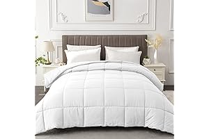 Queen Size Summer Down Duvet Insert, Lightweight & Fluffy for Warm Weather