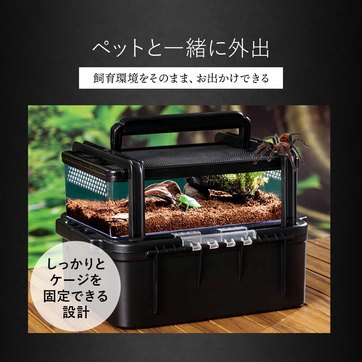 専用　配送無料　爬虫類飼育ケージ 温度管理機能付き　即発送可能 dショッピング |爬虫類ケージ GEX エキゾテラ グラス