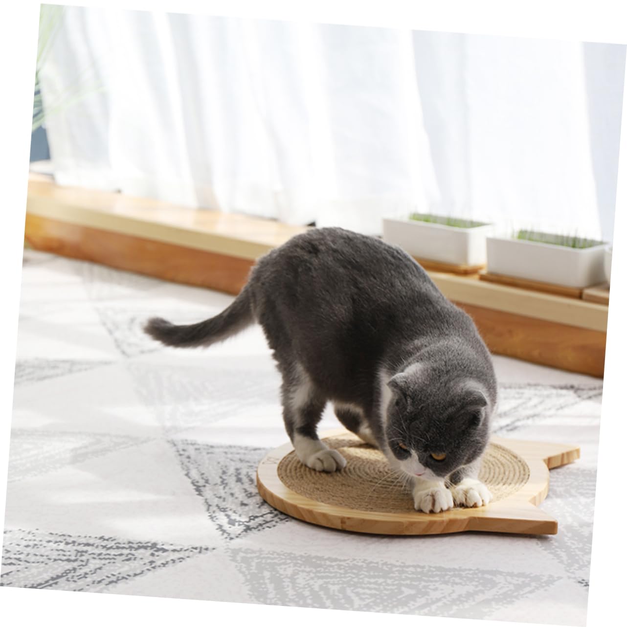 Katzenkratzbrett Aus Sisal Vertikales Kratzspielzeug Katzenkratzmatte Größe L Für Katzenzubehör