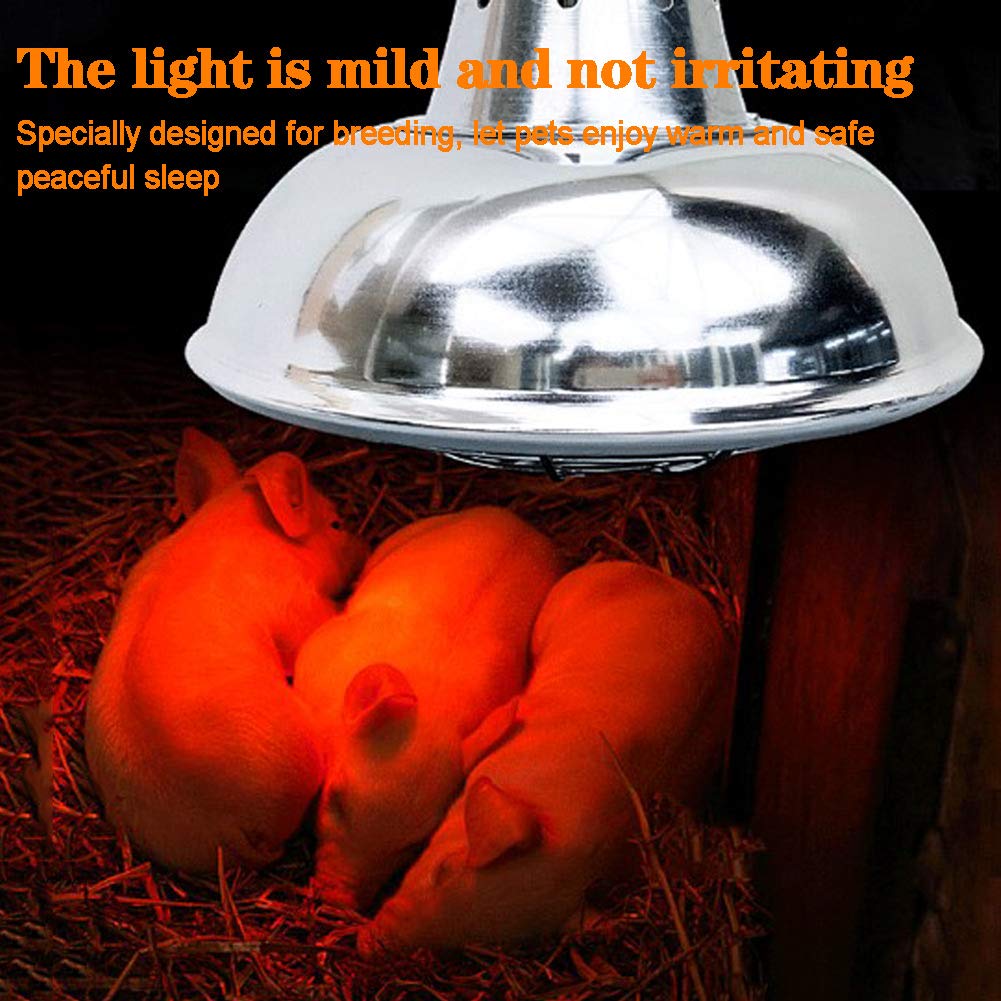 Lampada riscaldante per Cani da Esterno, lampade riscaldanti per pollaio, riscaldatore per Gabbia per Cani da 500 W, Calore per Cuccia per Cani, Temperatura Regolabile su 3 Livelli, riscaldatore per