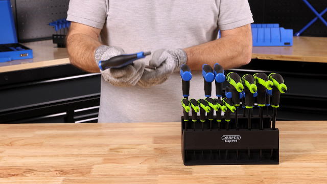 Draper 2-in-1 Torx and Hexagon Allen Key Set (20 Piece) | Soft