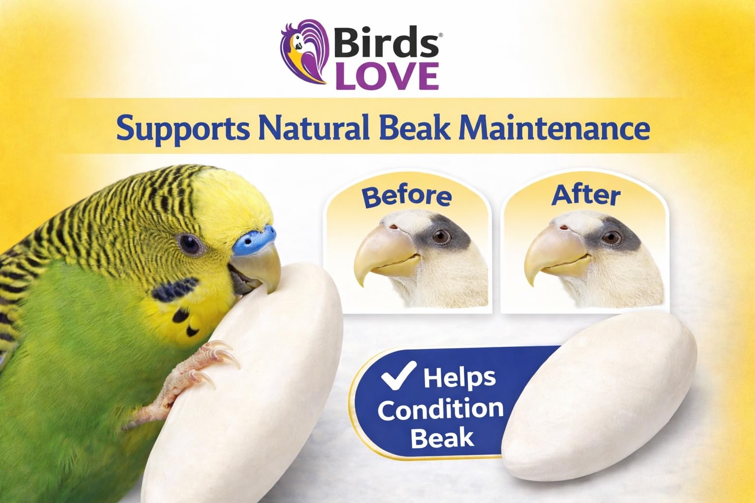 Birds LOVE 3.5-4″ Cuttlebones for Birds – 100% Natural Sun-Dried Calcium Carbonate Mineral Supplement – for Parakeets, Budgies, Cockatiels, Finches & Canaries – 12 Pack with Holder – Made in Vietnam - image 6