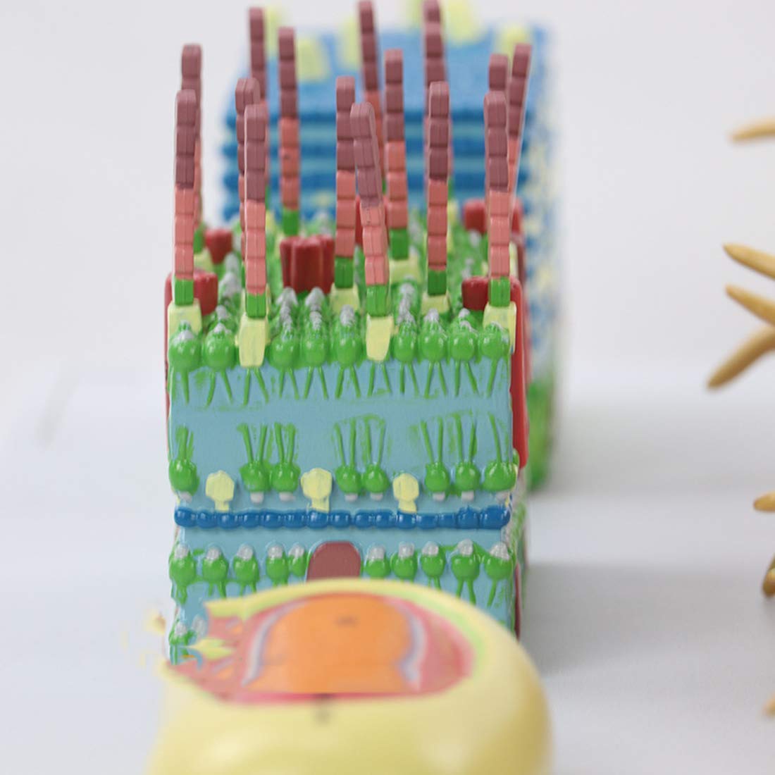 Model Nauczania, Naukowa Anatomia Biologiczna, Model Kernanatomii Komórek Bakteryjnych, Anatomiczny Model Bioflagellanu, Medyczny Materiał Dydaktyczny