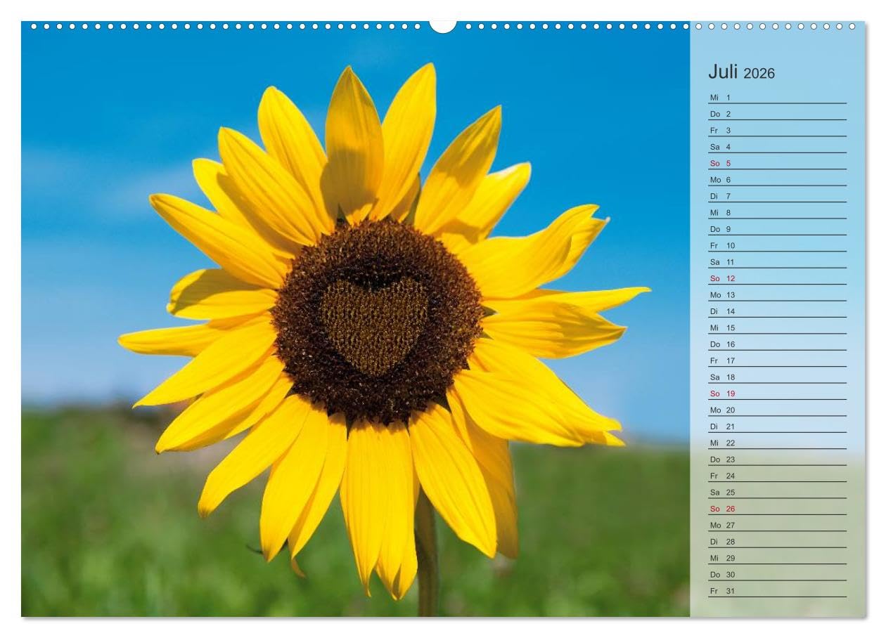 Tage von Herzen (hochwertiger Premium Wandkalender 2026 DIN A2 quer), Kunstdruck in Hochglanz: Geburtstagskalender mit Platz für Notizen (CALVENDO Lifestyle)