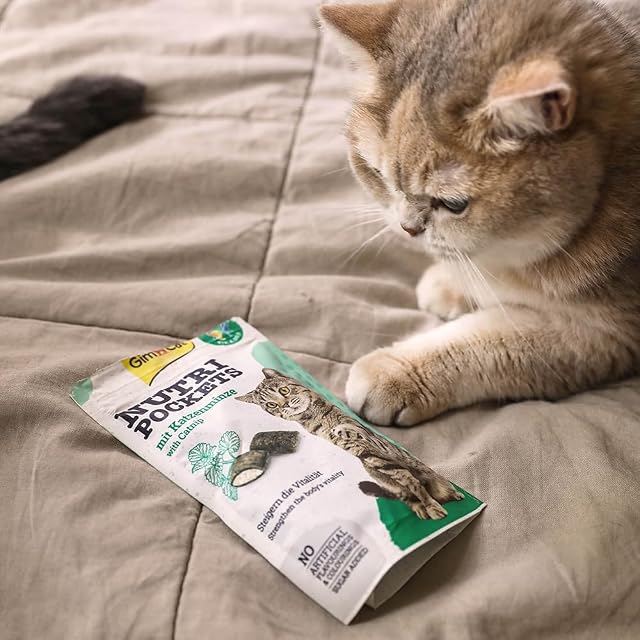 Foto 4 de 5 de GimCat Nutri Pockets menta de gato