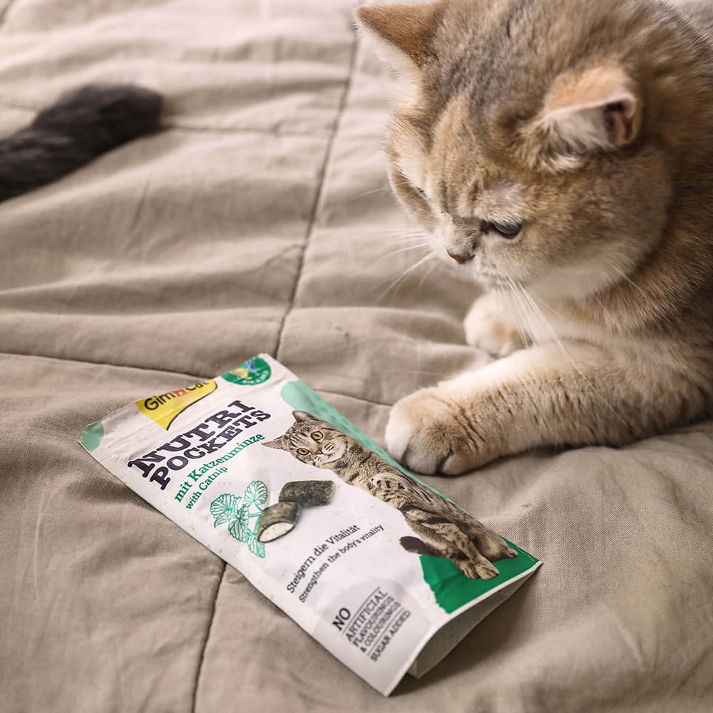 GimCat Nutri Pockets Catnip Multivitamine 60g