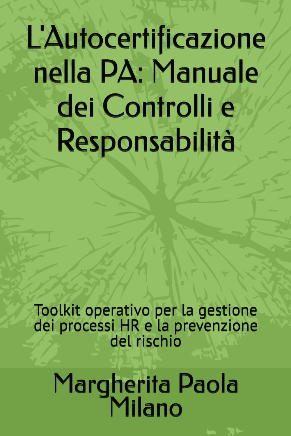 L'Autocertificazione nella PA: Manuale dei Controlli e Responsabilità: Toolkit operativo per la gestione dei processi HR e la prevenzione del rischio