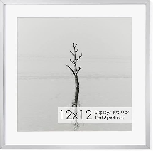 Miniatura 264 de Fun Memories Portarretratos de metal de 16 x 20 pulgadas con paspartú de 11 x 14 pulgadas, acabado de aluminio cepillado, parte delantera de vidrio