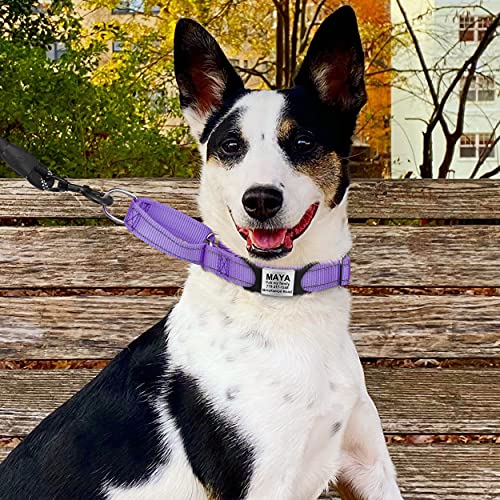 Tagme 2 Pack Personalized Dog Tag, Dog Tags For Name Engraved, No Jingle Slide On Cat Id Tag, For Puppy Small Medium Large Dogs #TOP1