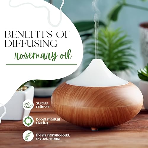 Miniatura 4 de Aceite esencial de romero, botella de aluminio de 8 onzas líquidas con tapa de enchufe, aceite esencial 100% puro, GreenHealth