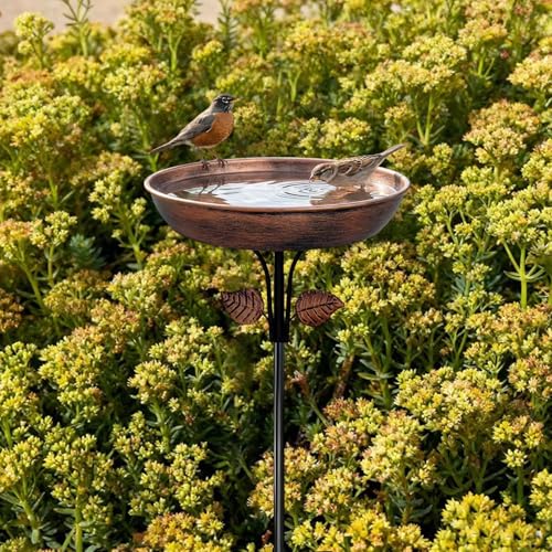 Bain d'oiseaux en métal et mangeoire extérieure pour le jardin - 4