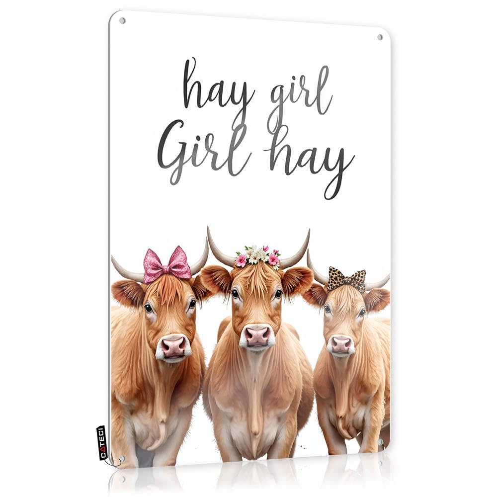Fzfn Colour Emo Haves Funny Sign | Country Chic Cow Trio With Floral Crowns Scandinavian For Home Living Room(30X40cm)