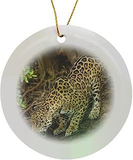 Circle Porcelain Ornament - Brazil, Pantanal. Wild Jaguar Drinking. Jaguars