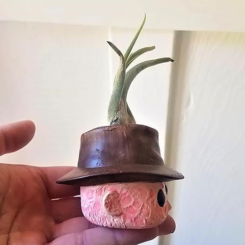 Miniatura 2 de Macetas de película de terror, macetas de cabeza aterradora, mini macetas lindas para suculentas, jarrón divertido con agujero de drenaje para