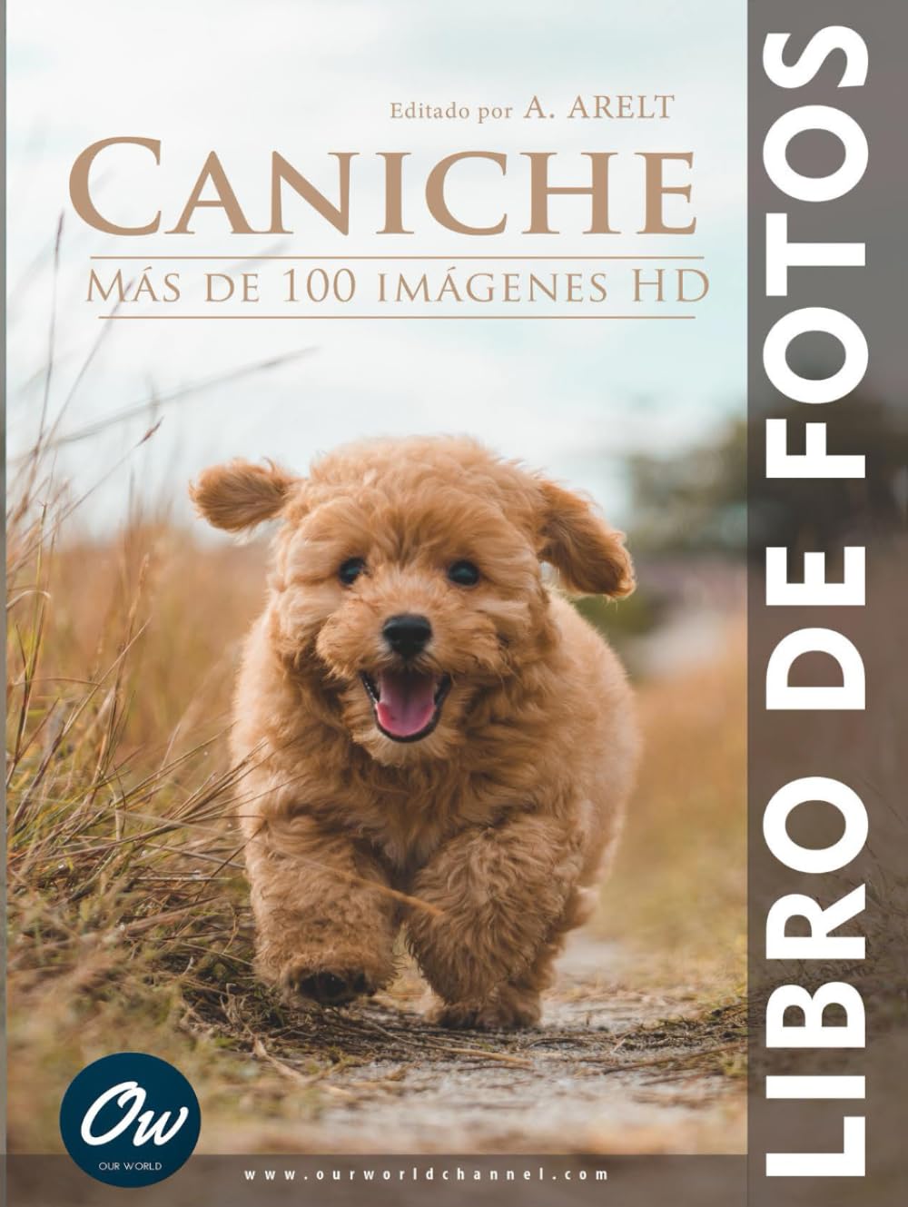 Caniche: Libro de fotos - Más de 100 imágenes HD