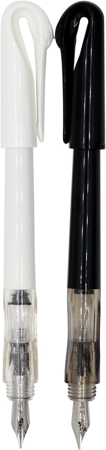 Ranvi Swan Fountain Pen, Couple Pen, 2 PCS (black, white)