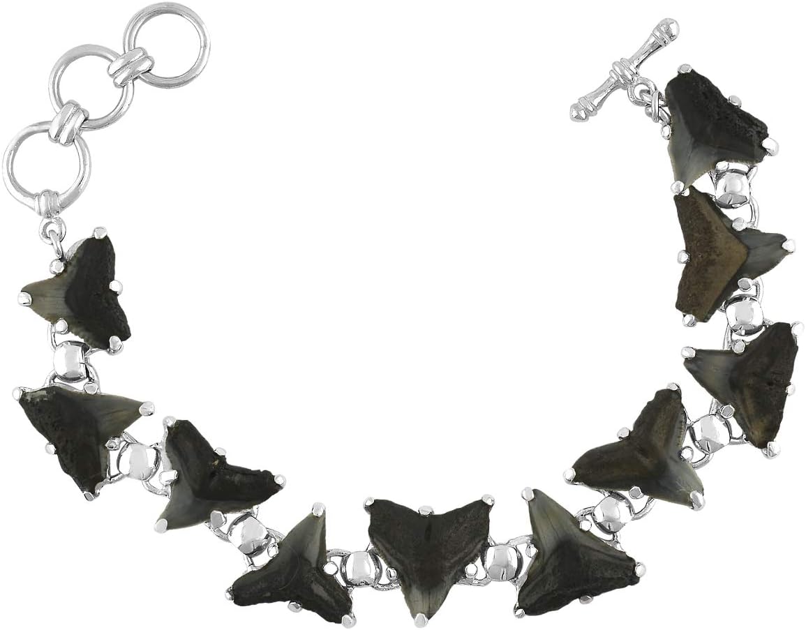 Starborn Fossil Shark Tooth Bracelet in Sterling Silver