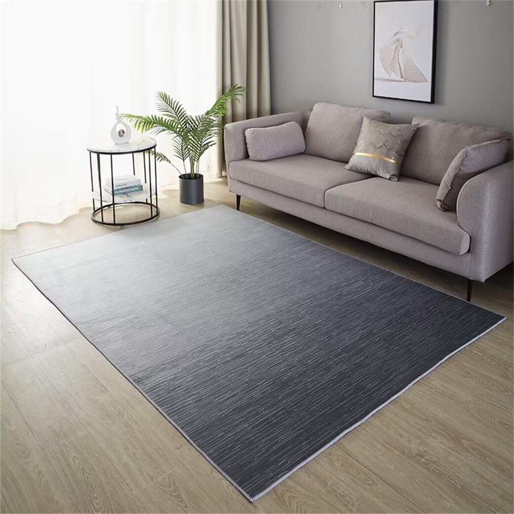 Tapis couloir long gris lavable 200x300cm idéal contre les taches
