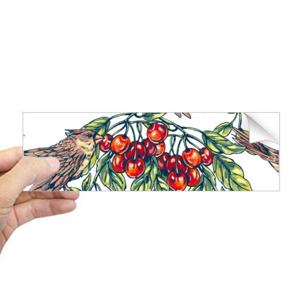 Sticker pour fenêtre oiseaux pour créer un coin nature dans la cuisine