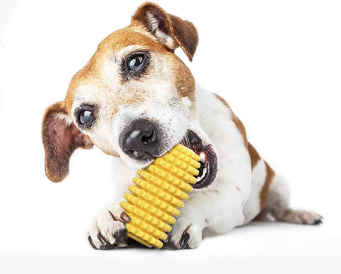 Tough Dog Toys for Small Dogs