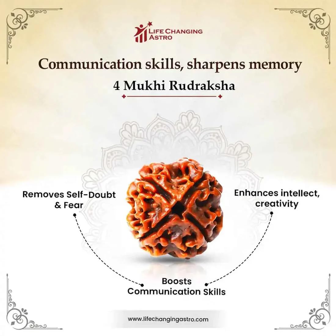 4 Mukhi Rudraksha - Nepal Origin | Wisdom & Communication -2 4 Mukhi Rudraksha - Nepal Origin | Wisdom & Communication -2