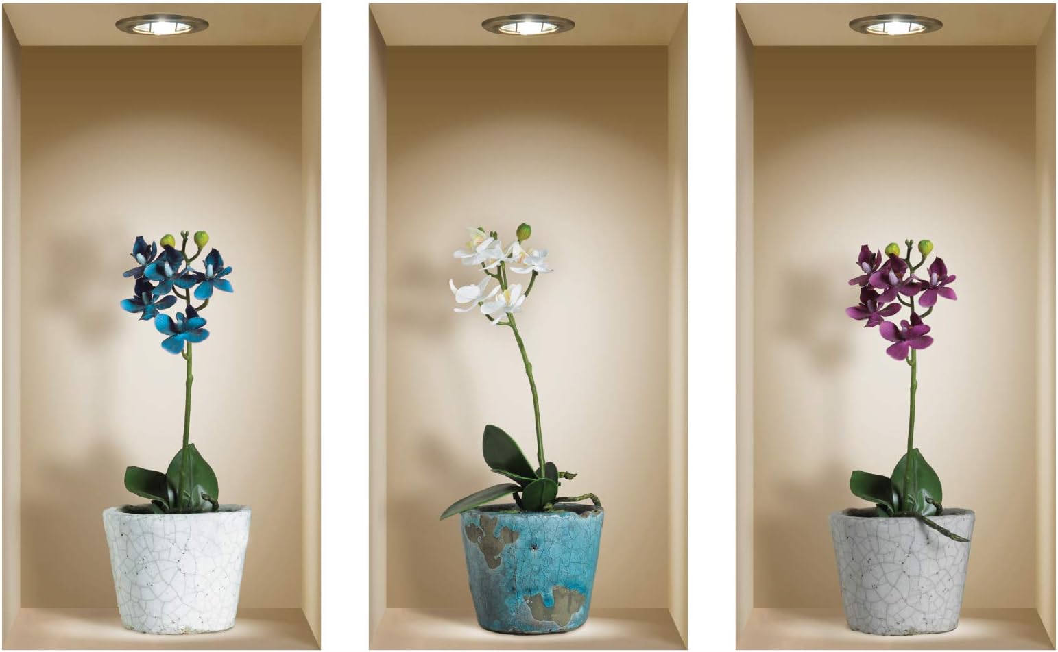 The Nisha Art Magic 3D Vinyl Removable Wall Sticker Decals DIY, Set of 3, Colorful Orchid