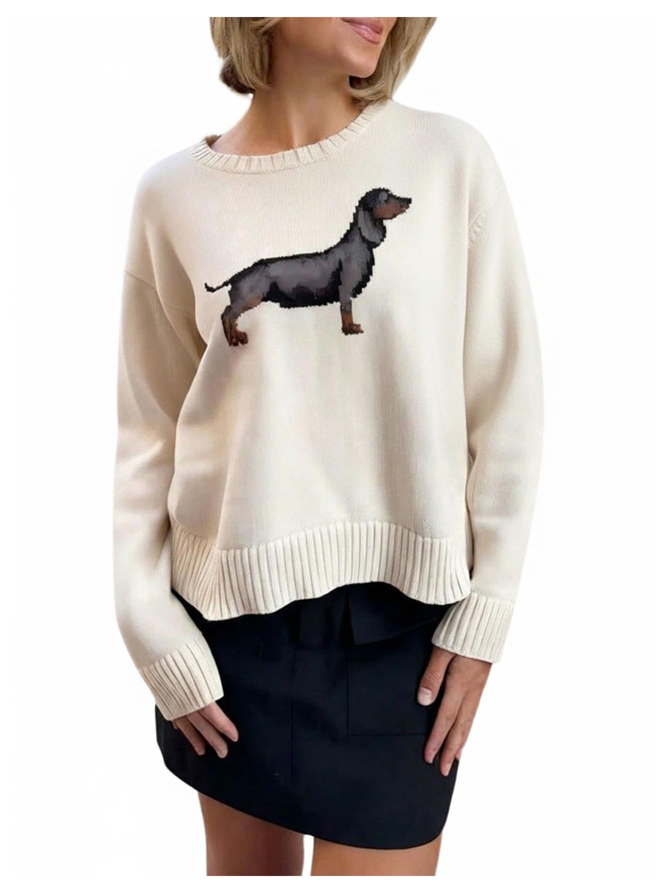 Womens Dog Graphic Sweater Crewneck Long Sleeve Pullover Sweaters Fall Jumper Top