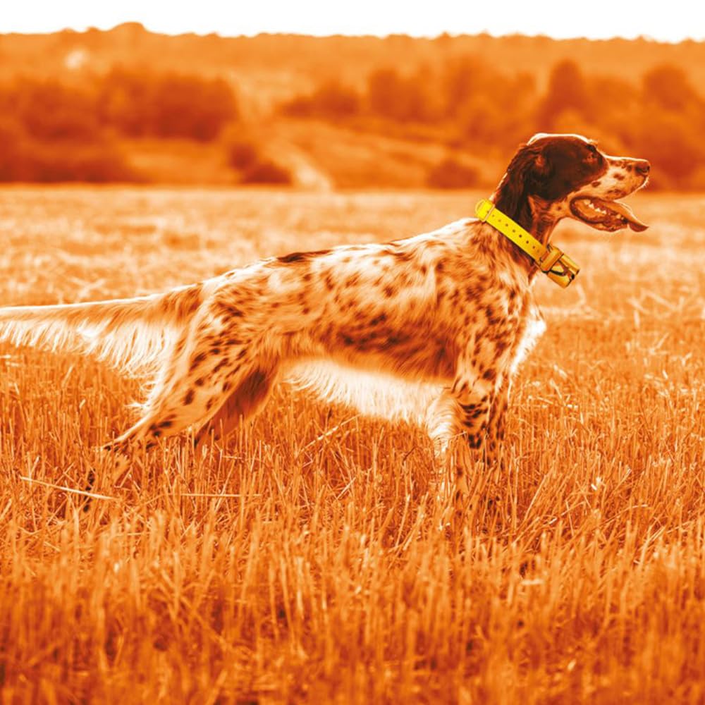 Beeper One GPS - Localizzatore per Cani - Copertura fino a 2,5 Km - Avviso con Vibrazione - Visualizzazione della distanza e posizione - Telecomando con ampio display - Localizzatore acustico