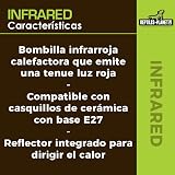 Ver la foto 5