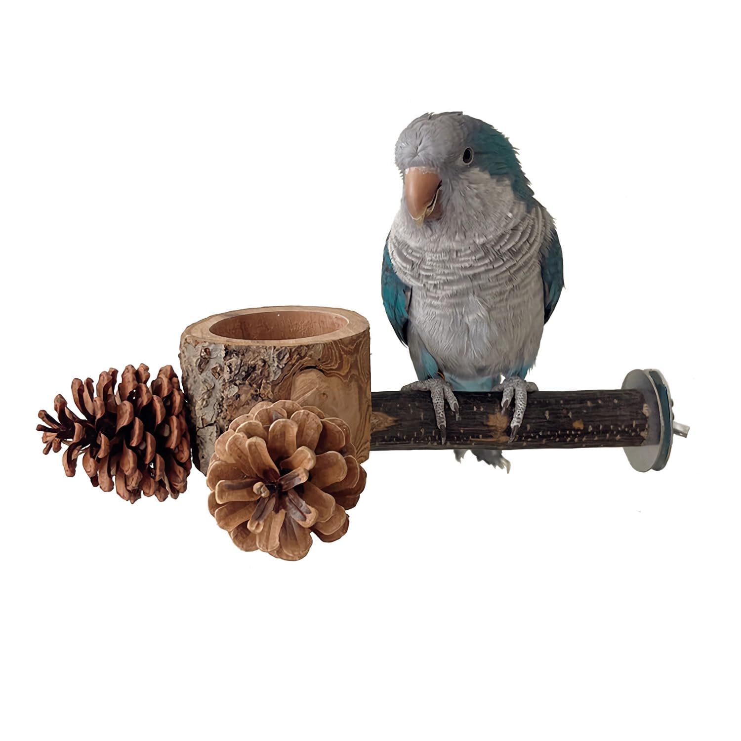 Bird Perch with Feeder for Cage & Chew Toys Pinecones - Bird Cage Accessories 100% Natural & Durable for Cockatiel, Conure, Budgie, Lovebird, Parakeet - Parrot Food Treats Bowl for Foraging