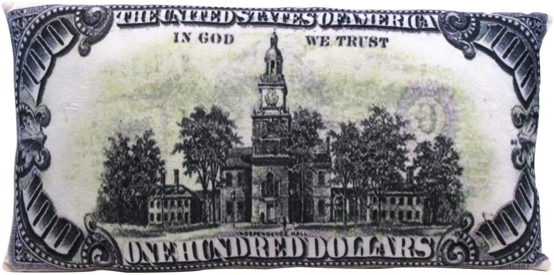 Treasure Gurus $100 Bill One Hundred Dollar Printed Money Fluffy Plush Throw Pillow Decorative Cushion