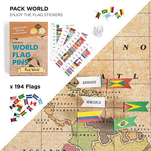 World Map Cork Board kit Push Pin World Map with Pins World Flags