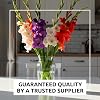 Product Photo 5