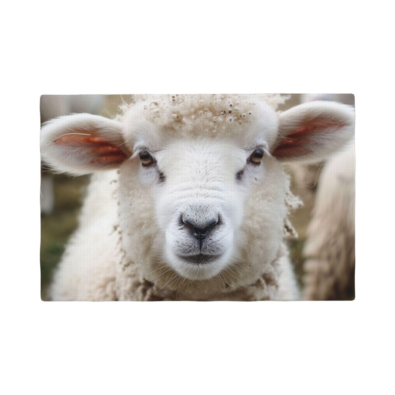 Cute Sheep Lamb Print Placemats Set, Heat Resistant Washable Placemat 12x18in Table Mats for Party Kitchen Dining Table Decoration Indoor Outdoor, Six Piece