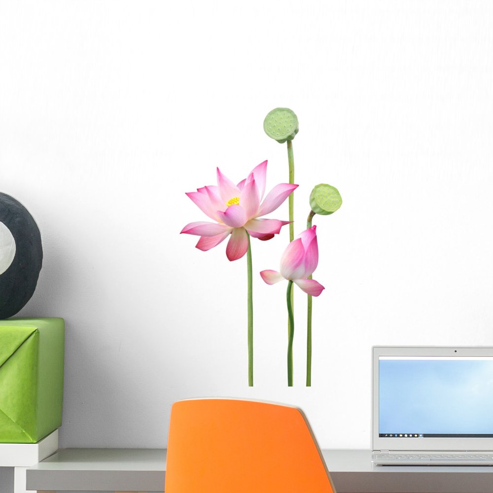 Wallmonkeys Wall Decals FOT-24750444-18 "WM299833 Lotus Flower and Seedpod Peel and Stick" Wall Decals, 18" x 14"/Small