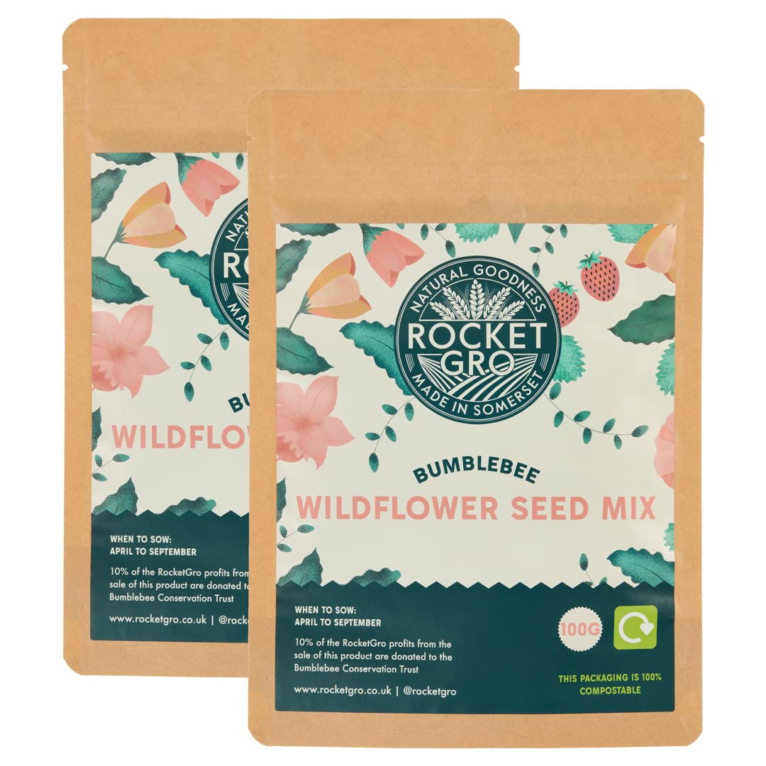 RocketGro Wildflower Seed Mix – 2 x Extra Large 100g – Wildflower Seeds for Bees & Pollinators – Nectar-Rich Flowers – Pure Seeds, No Filler – Easy to Sow & Grow – Perfect for Gardens & Meadows