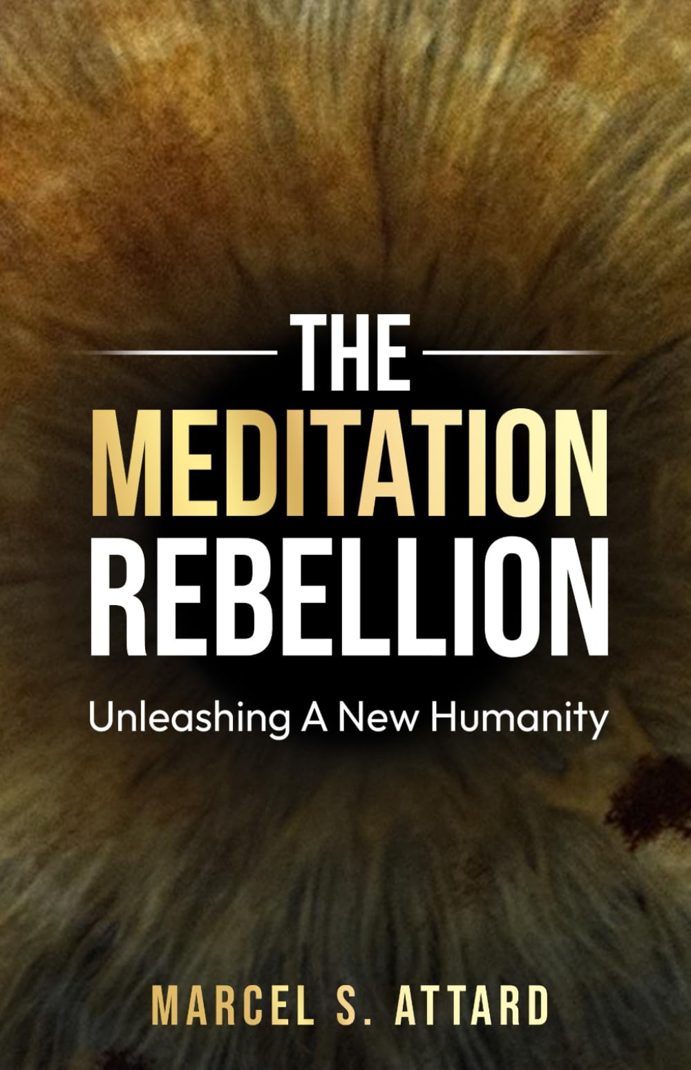 The Meditation Rebellion: Unleashing A New Humanity