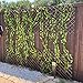 LANDGARDEN Expandable Garden Trellis Plant Support Willow Lattice Fence Panel for Climbing Plants Vine Ivy Rose Cucumbers Clematis 36X92 Inch