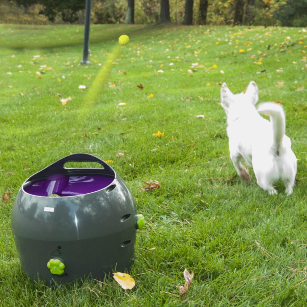 PetSafe Automatischer Ballwerfer | Interaktiv, Einstellbare Reichweite, Bewegungssensoren, Automatischer Schlafmodus, Indoor & Outdoor