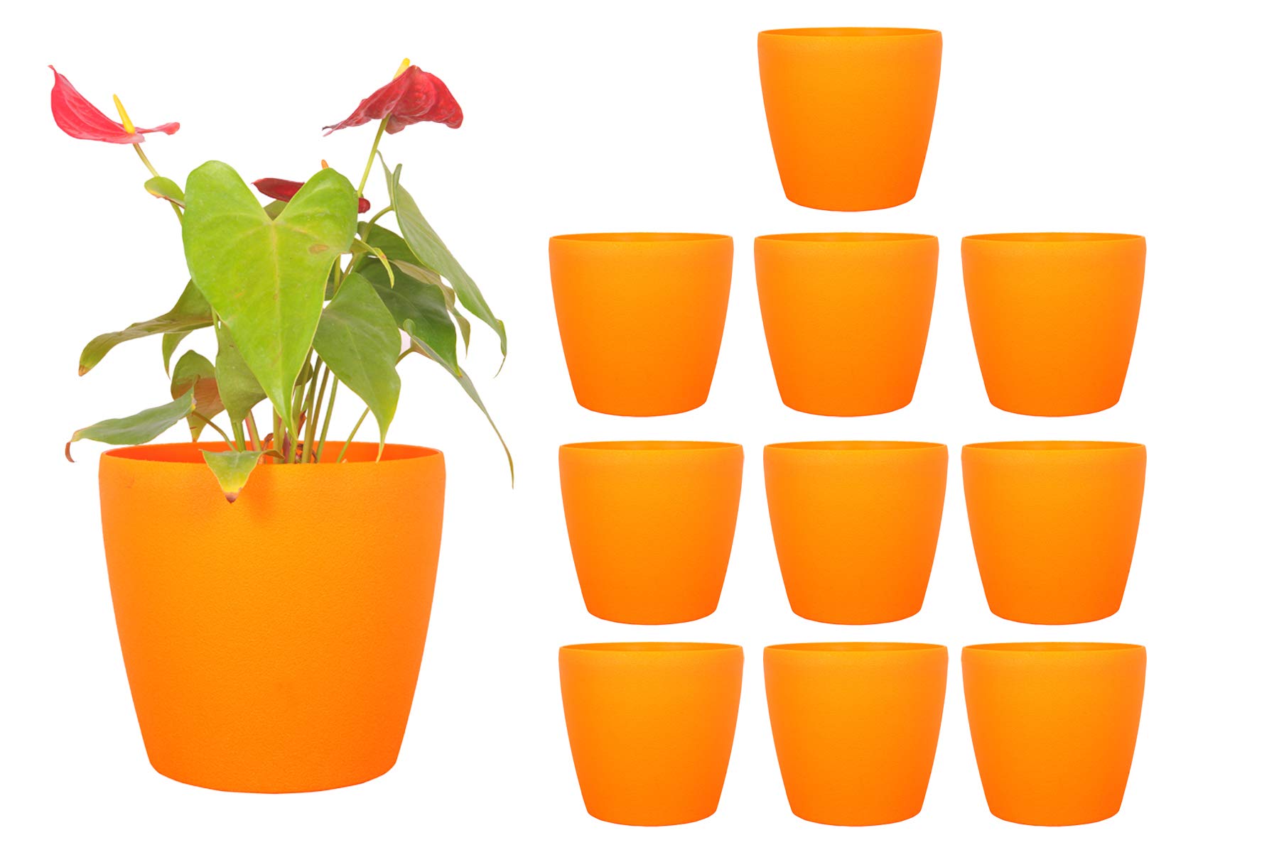 See full amazon price history chart for SPYLARKS™ Royal Deco Decorative/Indoor/Outdoor/Office/Flower/Planter/Table top Pots (9 Inch) (Mustard)(Pack of 10) SPYLARKS™ Royal Deco Decorative/Indoor/Outdoor/Office/Flower/Planter/Table top Pots (9 Inch) (Mustard)(Pack of 10) (B08SW568LW) Amazon Price History, Amazon Price Tracker
