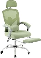 DumOS Ergonomic Gaming Chair with Footrest, Lumbar Support, Mesh Back, Reclining Headrest - Light Green Office Desk Chair