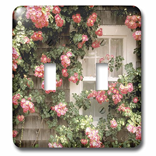 Decoración de la isla Nantucket en este interruptor doble para salones rústicos 3