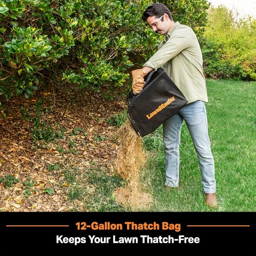 Image of LawnMaster 48V MAX Brushless 16 inch 2-in-1 Cordless Dethatcher and Scarifier with Removable Thatch Collection Bag Quick-Fold - CLGVB4816 | Removable Thatch Collection Bag, Quick-Fold