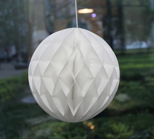 Daily Mall 10 bolas de panal de papel de seda de 8 pulgadas, diseño de socios de fiesta, manualidades, colgantes, pompón, fiesta, boda, cumpleaños,