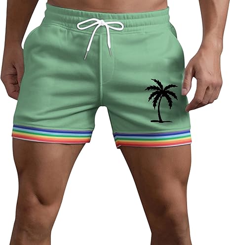 ZZKKO Slip De Bain Sexy Pour Homme Motif Drapeau Arc-en-Ciel L Multicolore